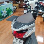 IMG_4204.jpeg