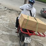 IMG_0386.jpeg