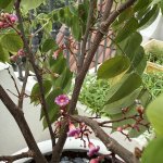 IMG_4976.jpeg