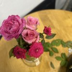 IMG_0803.jpeg