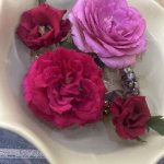 IMG_0797.jpeg