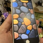 IMG_0073.jpeg