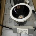 IMG_9800.jpeg