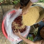 IMG_8624.jpeg