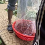 IMG_8620.jpeg