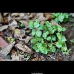 IMG_5968.png