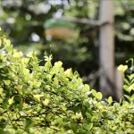 IMG_5963.jpeg