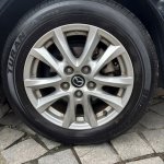 IMG_1523.jpeg