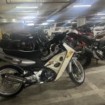 IMG_4382.jpeg