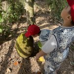 IMG_3180.jpeg