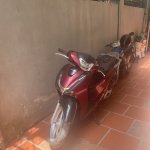 IMG_4131.jpeg