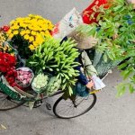 7AFB060C-8620-4BCF-9F07-B375259EA22E.jpeg