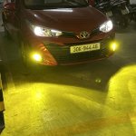 IMG_7409.jpeg