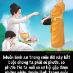 IMG_8192.jpeg