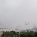 8AC0444F-0A55-4B34-AD57-1A2591517315.jpeg