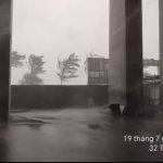 63F1C86F-757B-46F2-894F-5FE16195D6F8.jpeg