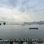 IMG_8732.jpeg