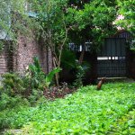 IMG_5983.jpeg