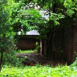 IMG_5982.jpeg