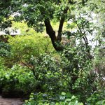 IMG_5980.jpeg