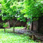 IMG_5977.jpeg