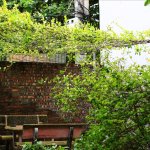 IMG_5976.jpeg