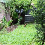 IMG_5975.jpeg