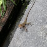 IMG_3970.jpeg