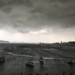 IMG_8747.jpeg
