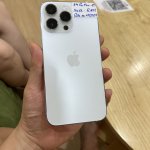 IMG_9826.jpeg