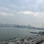 IMG_8737.jpeg