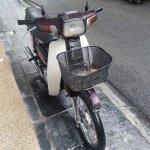 IMG_4342.jpeg