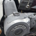 IMG_4339.jpeg