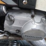 IMG_4340.jpeg