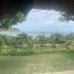 IMG_1786.jpeg