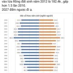 IMG_0351.jpeg