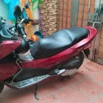 IMG_4226.jpeg