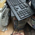 IMG_2876.jpeg