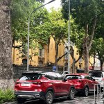 IMG_6720.jpeg