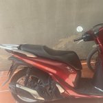 IMG_4133.jpeg