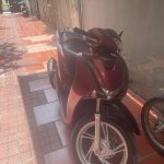 IMG_4134.jpeg