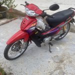 IMG_9731.jpeg