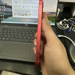 IMG_1785.jpeg