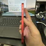 IMG_1784.jpeg