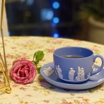 IMG_4052.jpeg