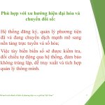 Đề án “Đổi mới cách đánh số biển số phương tiện xe cơ giới tại Việt Nam”_page-0017.jpg