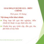 Đề án “Đổi mới cách đánh số biển số phương tiện xe cơ giới tại Việt Nam”_page-0023.jpg