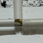 IMG_0871.jpeg