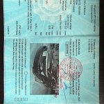 IMG_6832.jpeg
