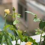 IMG_0879.jpeg